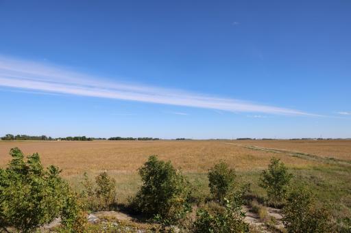 81893 470th Street, Hector, MN 55342