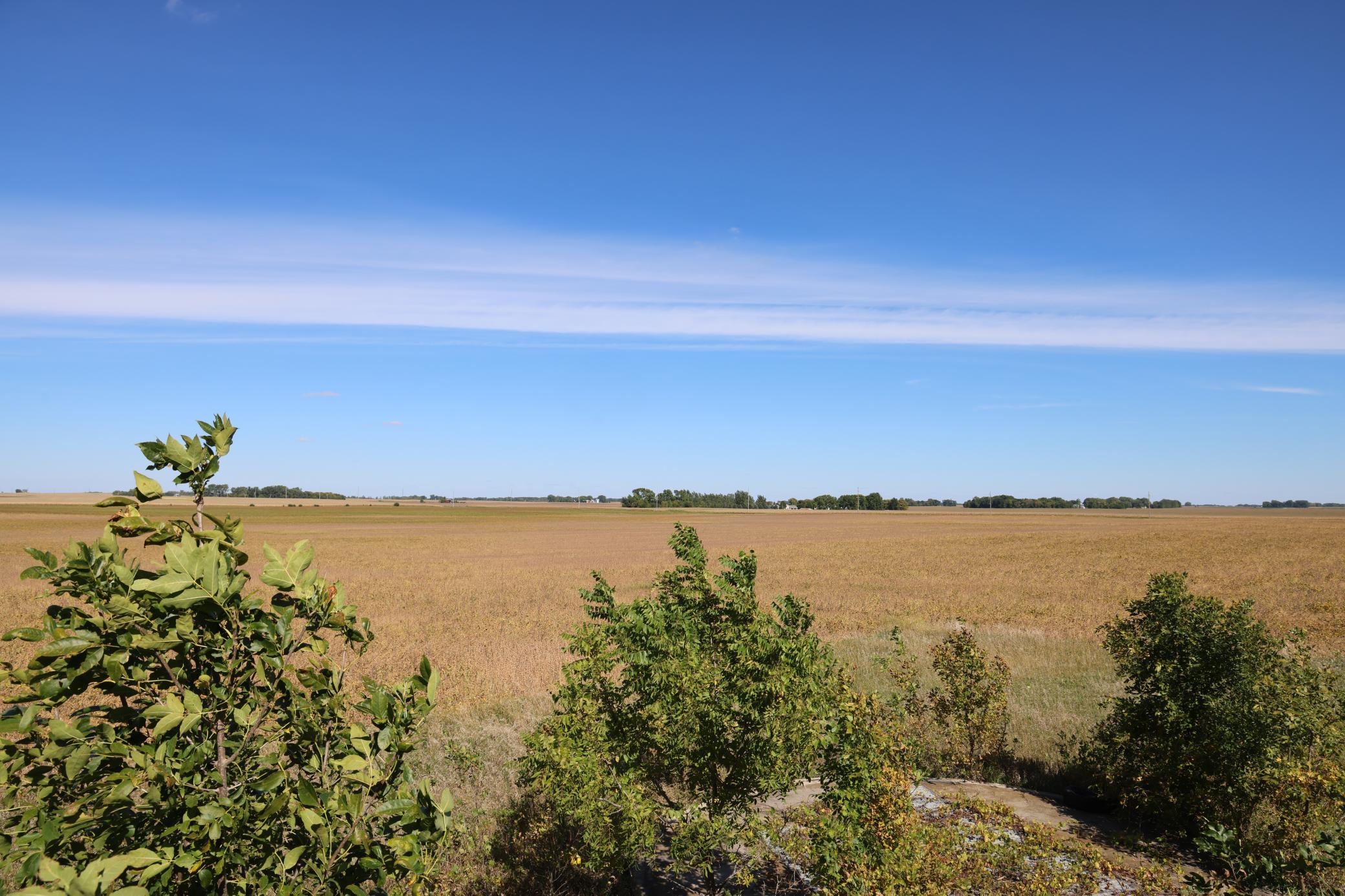 overlooking the crop
