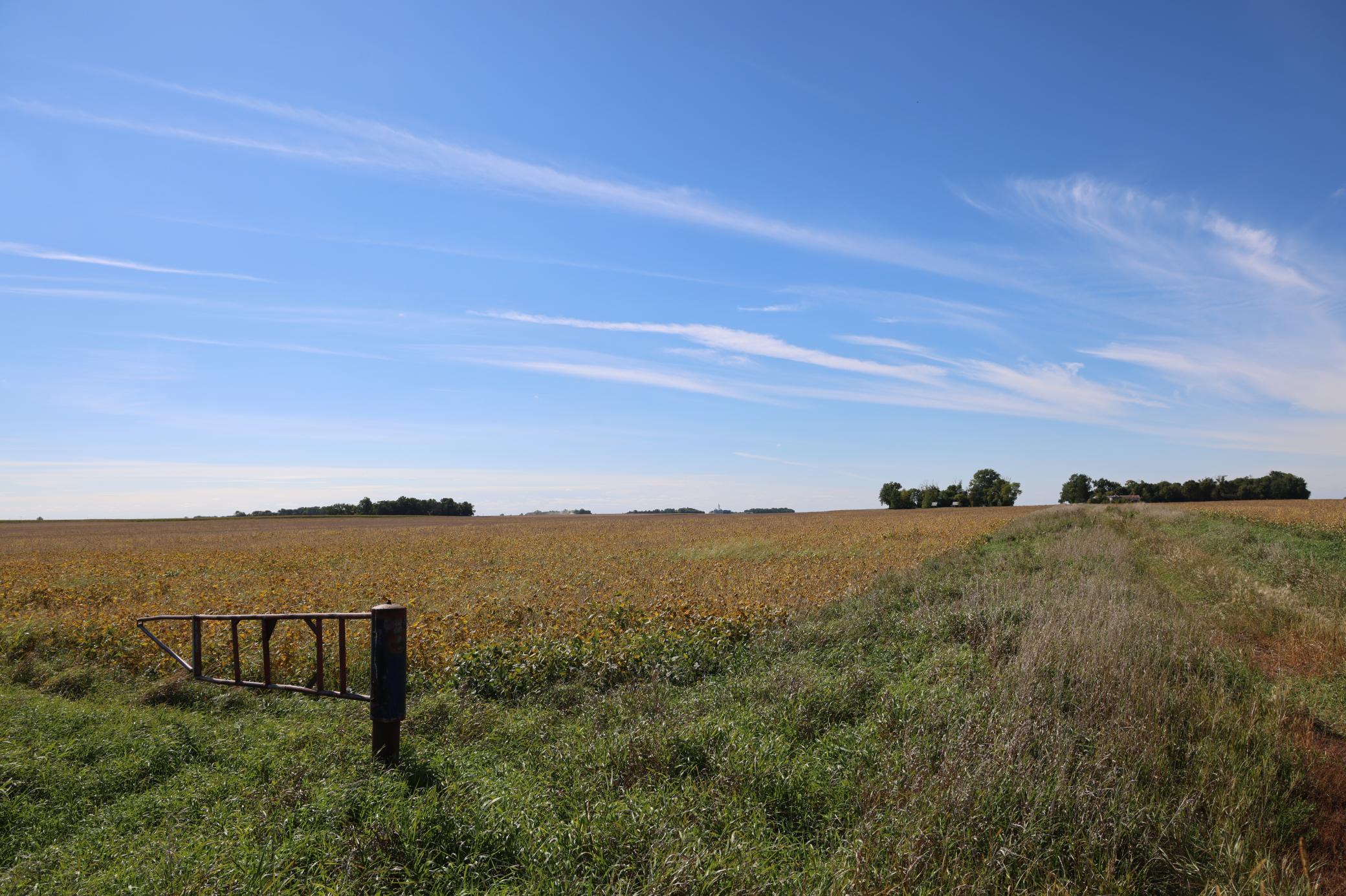 view from road looking SW