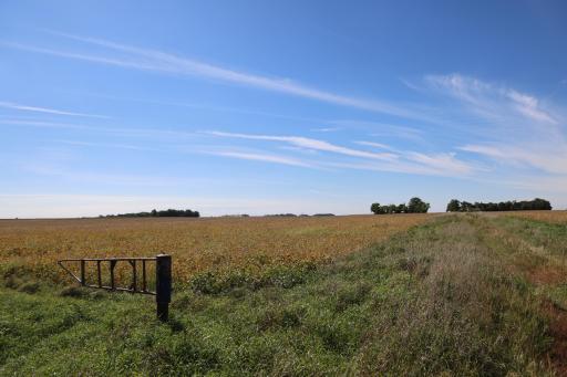 81893 470th Street, Hector, MN 55342