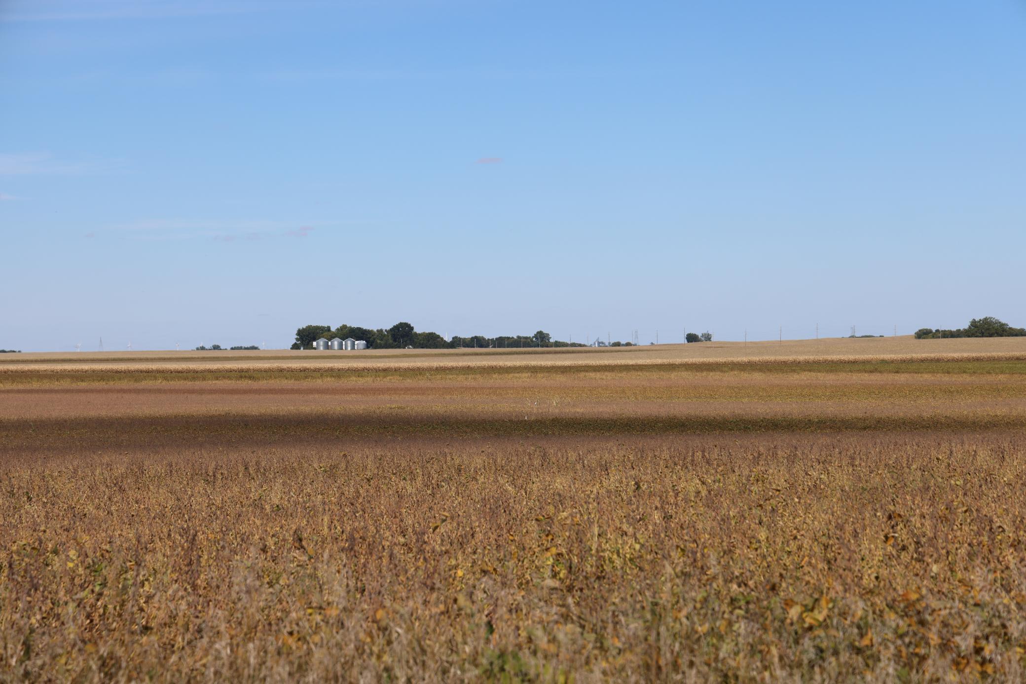 looking to the north