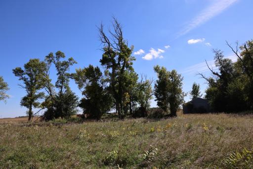 81893 470th Street, Hector, MN 55342