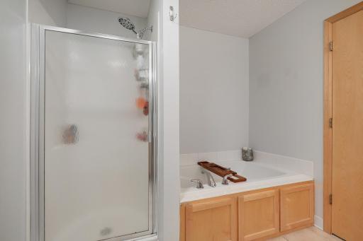 205 Butternut Circle, Carver, MN 55315