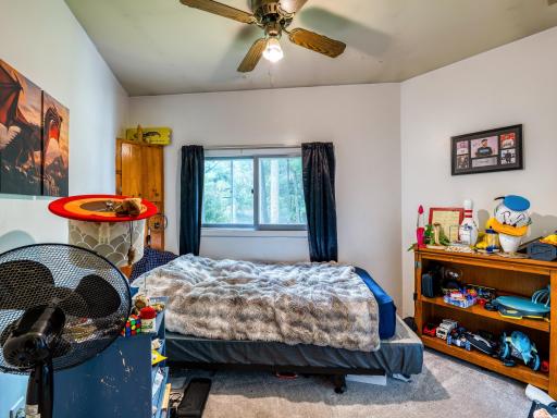 11081 Hillcrest Drive NE, Bemidji, MN 56601