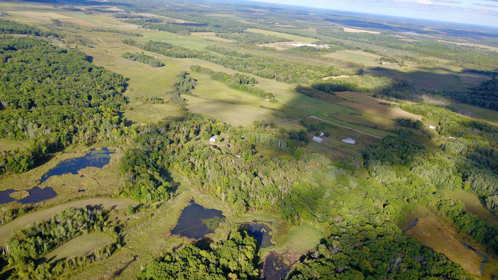 Neal - LP 100 Acres - 12.jpg