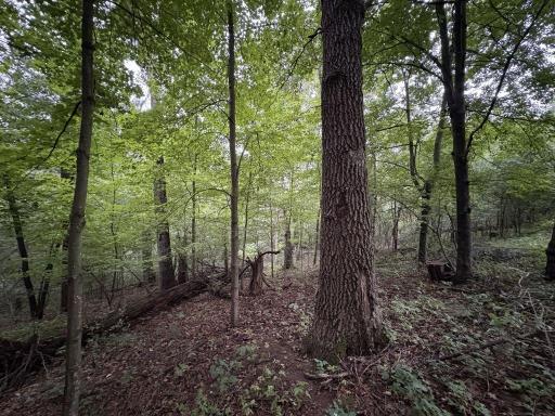1880 60th Avenue, Osceola, WI 54020