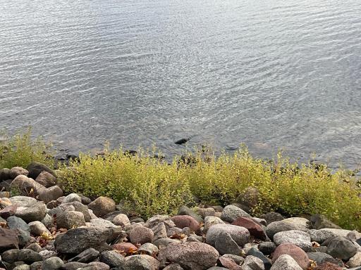 4057 Mille Lacs Parkway, Isle, MN 56342