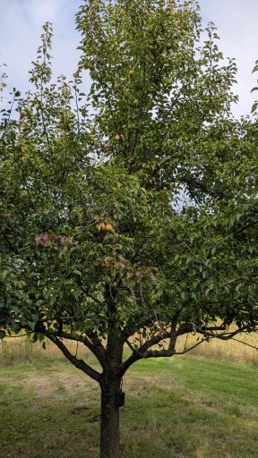 361 Oak Knoll Drive, Marine On Saint Croix, MN 55047