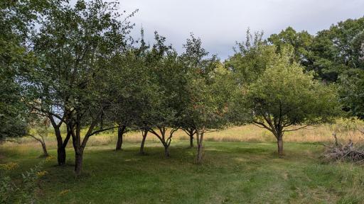 361 Oak Knoll Drive, Marine On Saint Croix, MN 55047