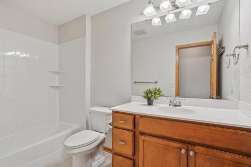 lower level full bathroom .jpeg