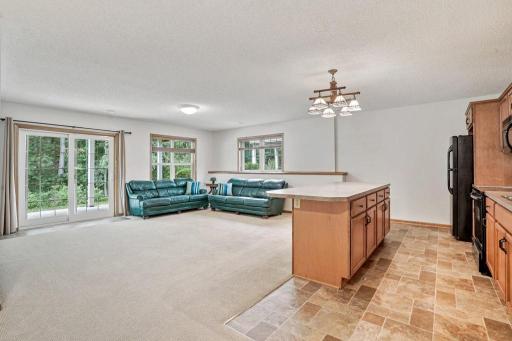 Huge family area with a walk-out. Look at how bright and sunny - for a lower level! .jpeg