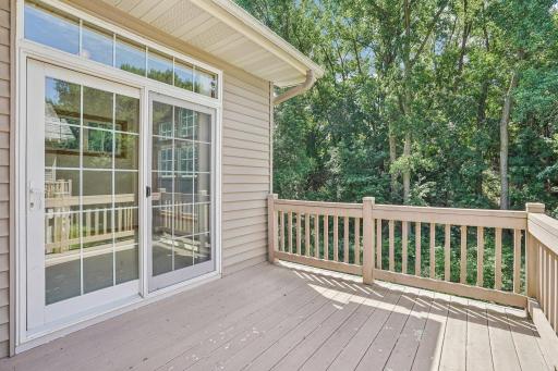 Deck w: prime view of he wooded area behind it. .jpeg