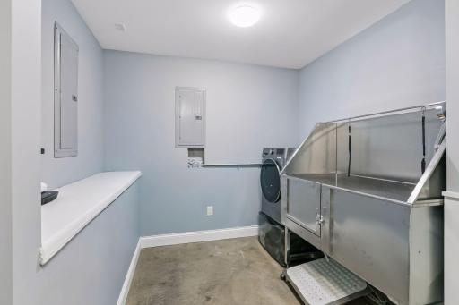 Dog Wash Station