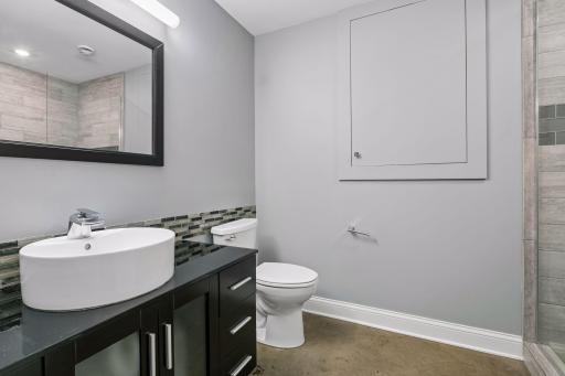 Lower Level Bath