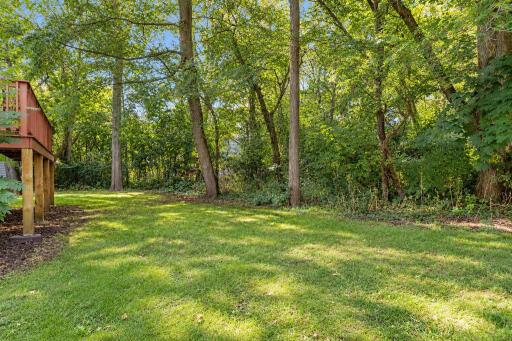 Deck overlooks a peaceful, secluded setting with mature trees and plenty of greenery.