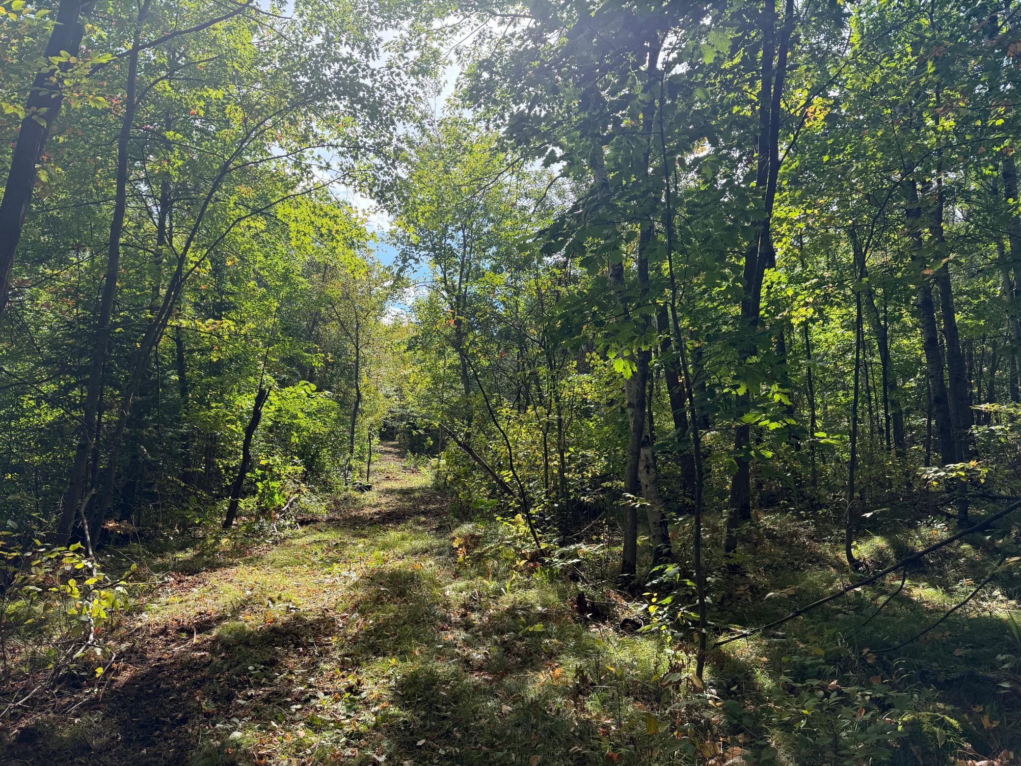 Property photo for 51047 Sand Creek Road, Bruno, MN 55712