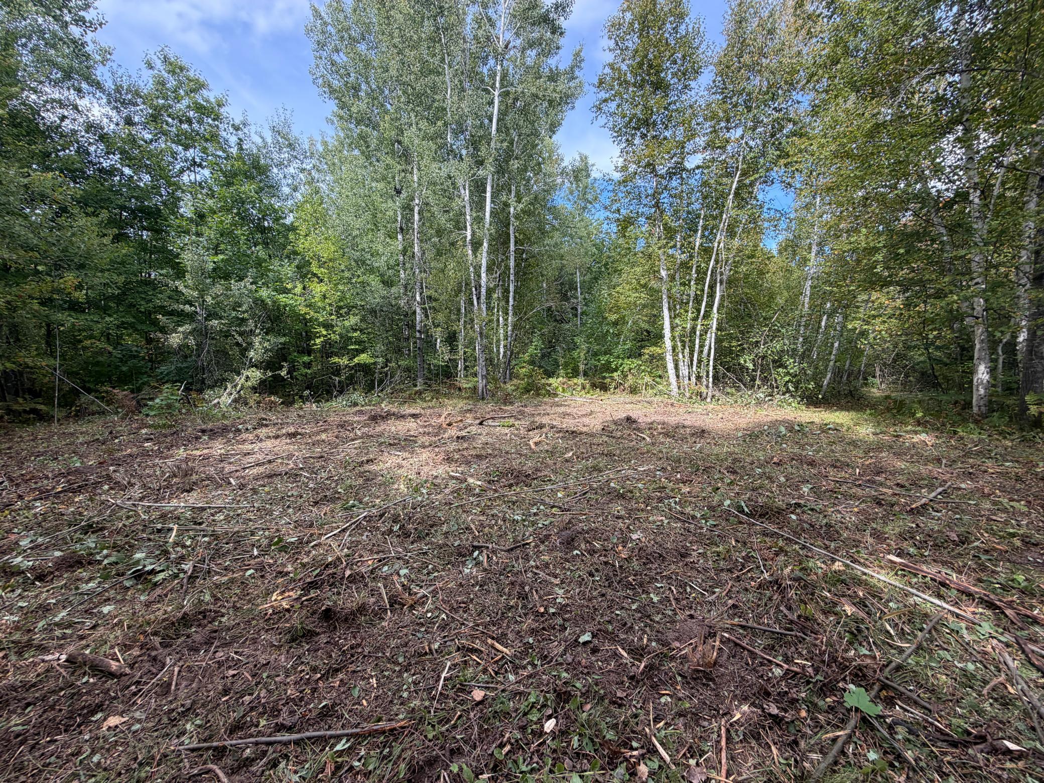 Clearing for BaseCamp
