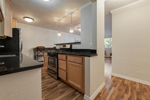 Front hallway view of the unit.