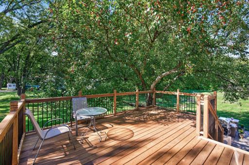 Brand-new deck completed in 2026 offers a peaceful place to enjoy the wooded surroundings.