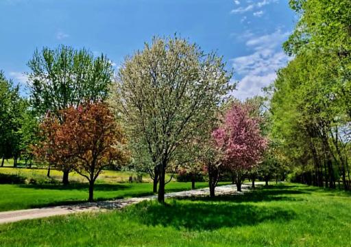 324 W 7th Street, Litchfield, MN 55355