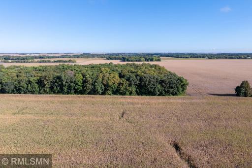 TBD 514th Avenue, Amboy, MN 56010