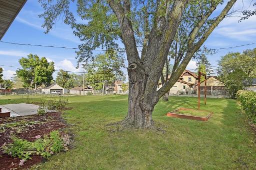 Back yard from house corner