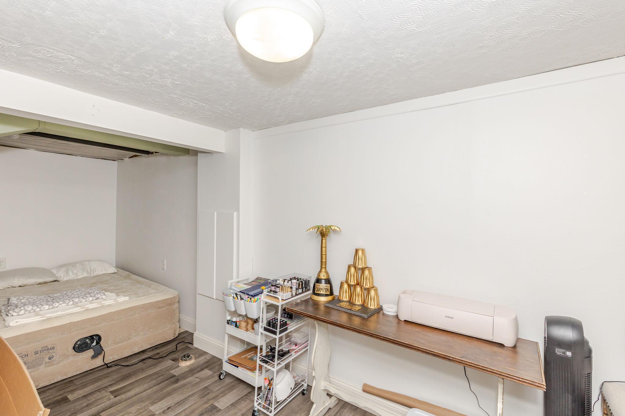 Basement Flexroom