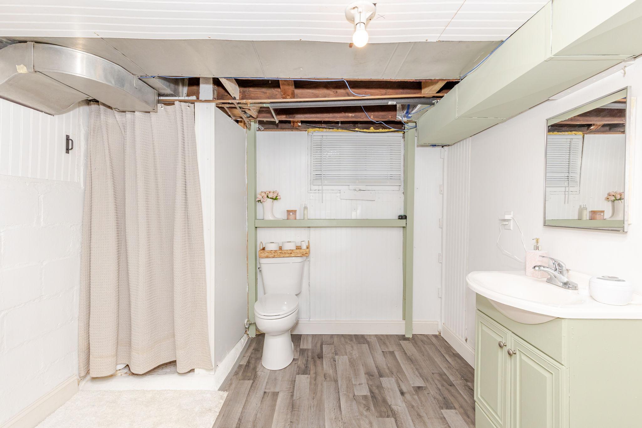 Basement Bathroom
