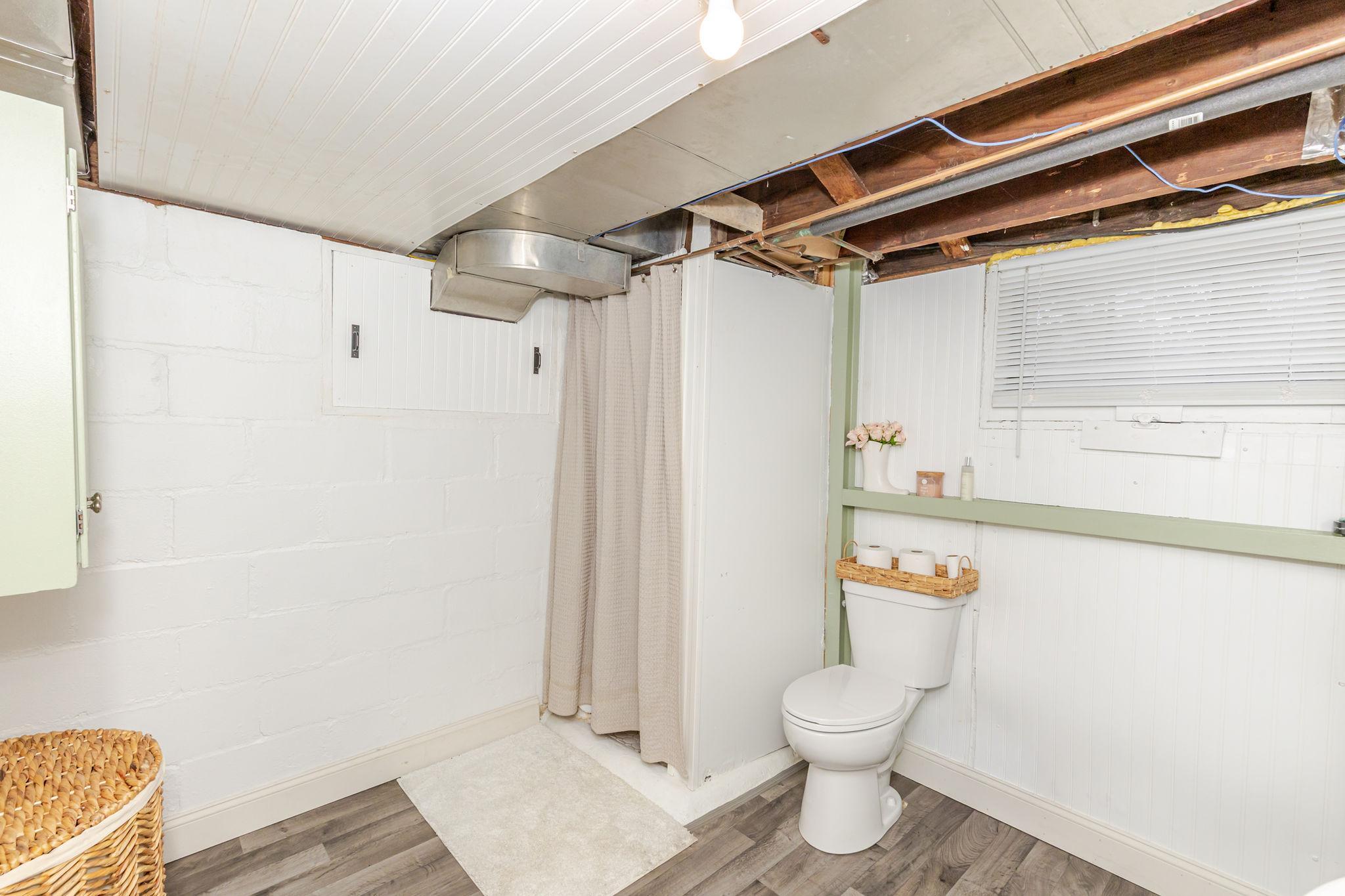 Basement Bathroom