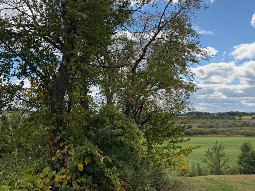 1060 230th Street W, Farmington, MN 55024