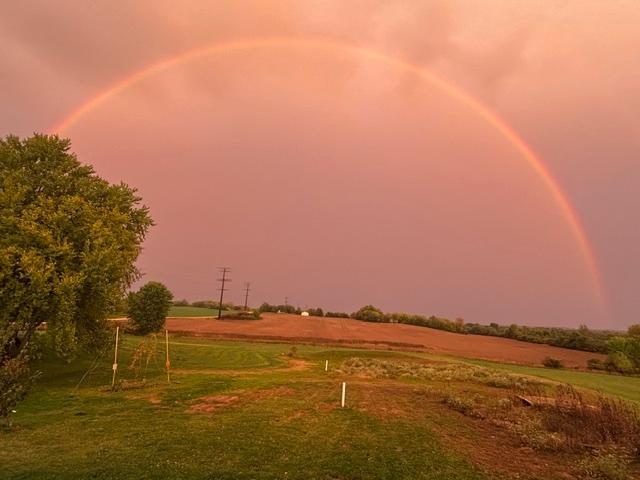 Somewhere under the rainbow is 40 acres and a great homesite