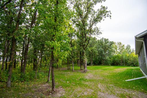 DSC_7915.jpg