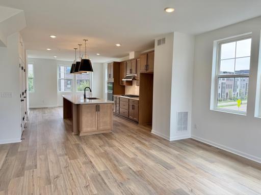 851 Mount Curve, Saint Paul, MN 55116