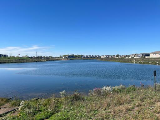 Another view of the fishing pond at The Waterfront Park. The pond has a beautiful walking path that goes around it making for nature filled walks.
