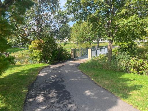 The Draw Park waking path has several places to stop and enjoy nature including this bridge that connects the mile long series of walking paths.