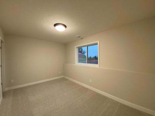 2036 Tamarack Road, Carver, MN 55315