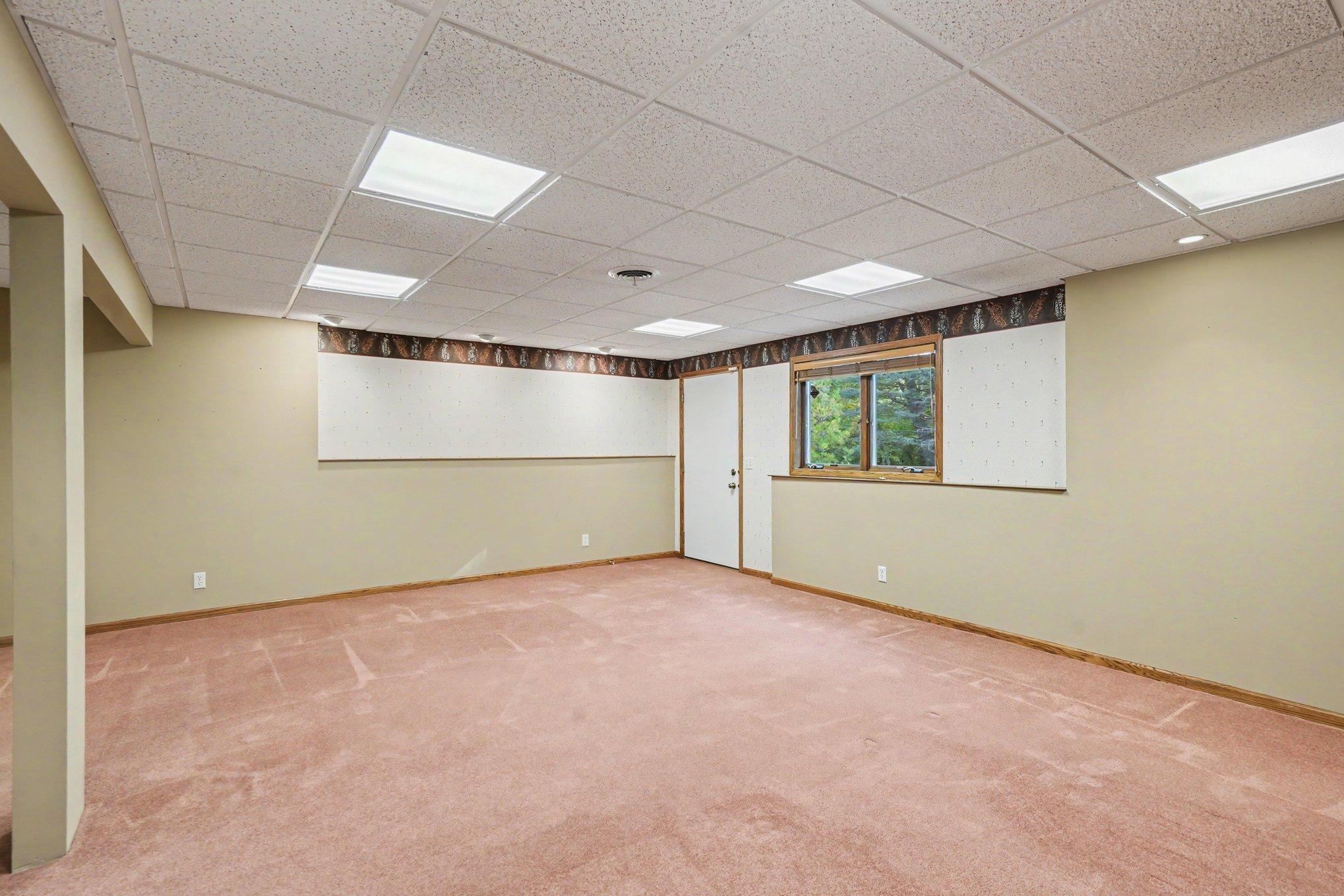 Lower level family room with walkout to backyard