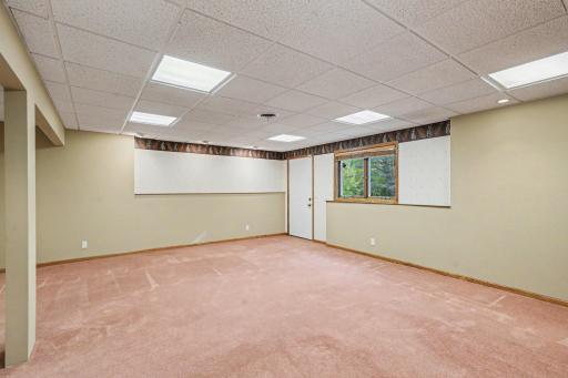 Lower level family room with walkout to backyard