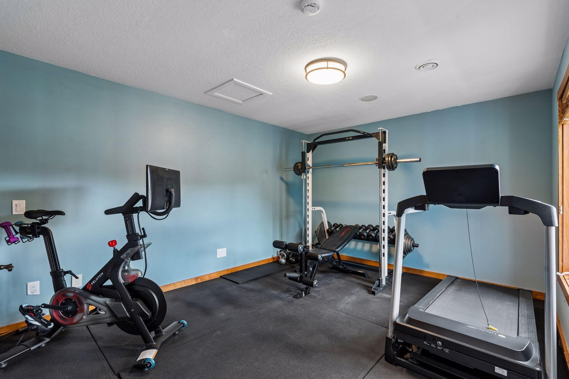 Lower Level Bedroom / Gym (With Closet)