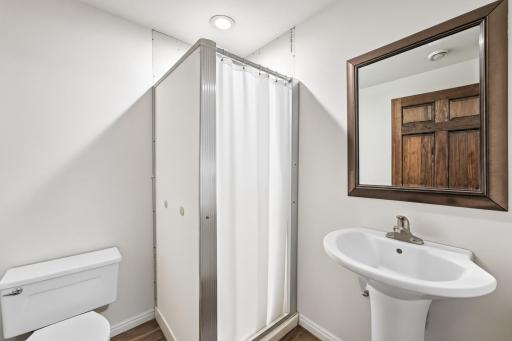Lower level bathroom