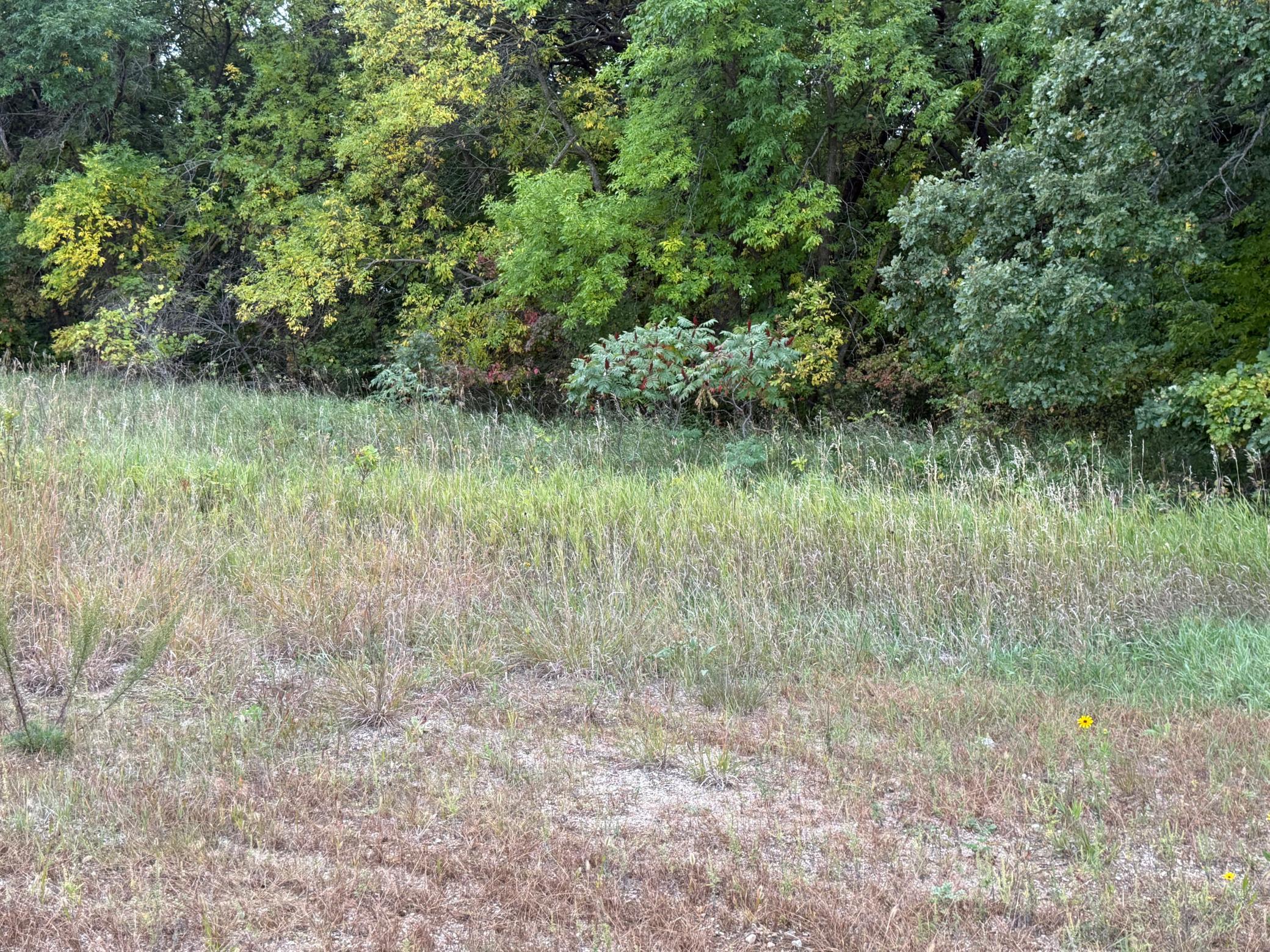 Property photo for Lot 11 TBD Creek View Drive, Pelican Rapids, MN 56572