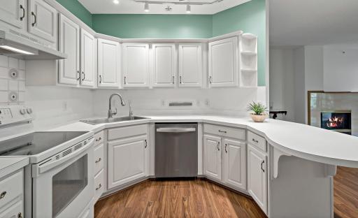 New Stainless Dishwasher, Kitchen Sink and Faucet.