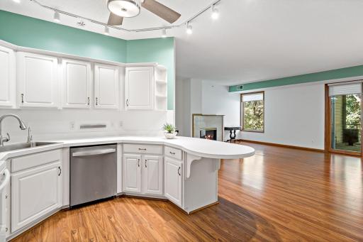 Island Counter Space, updated Track Lighting and Ceiling Fan