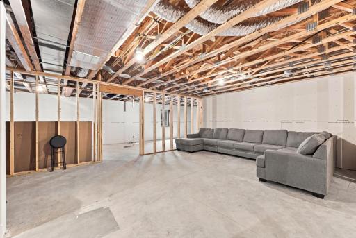 Unfinished Basement