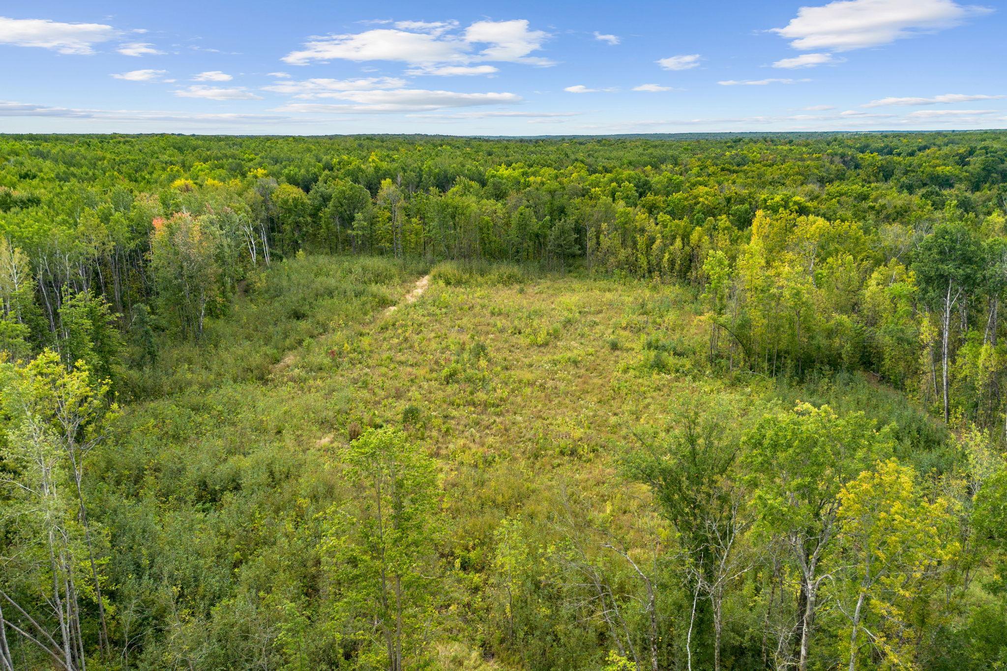26-web-or-mls-18965 124th Ln-26.jpg
