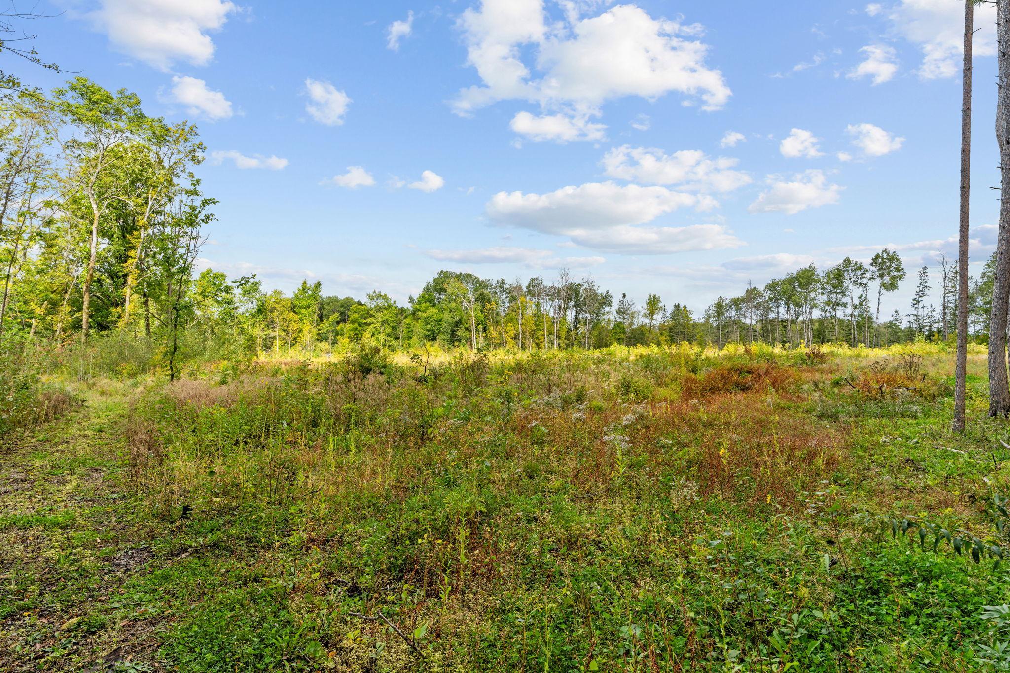 7-web-or-mls-18965 124th Ln-7.jpg