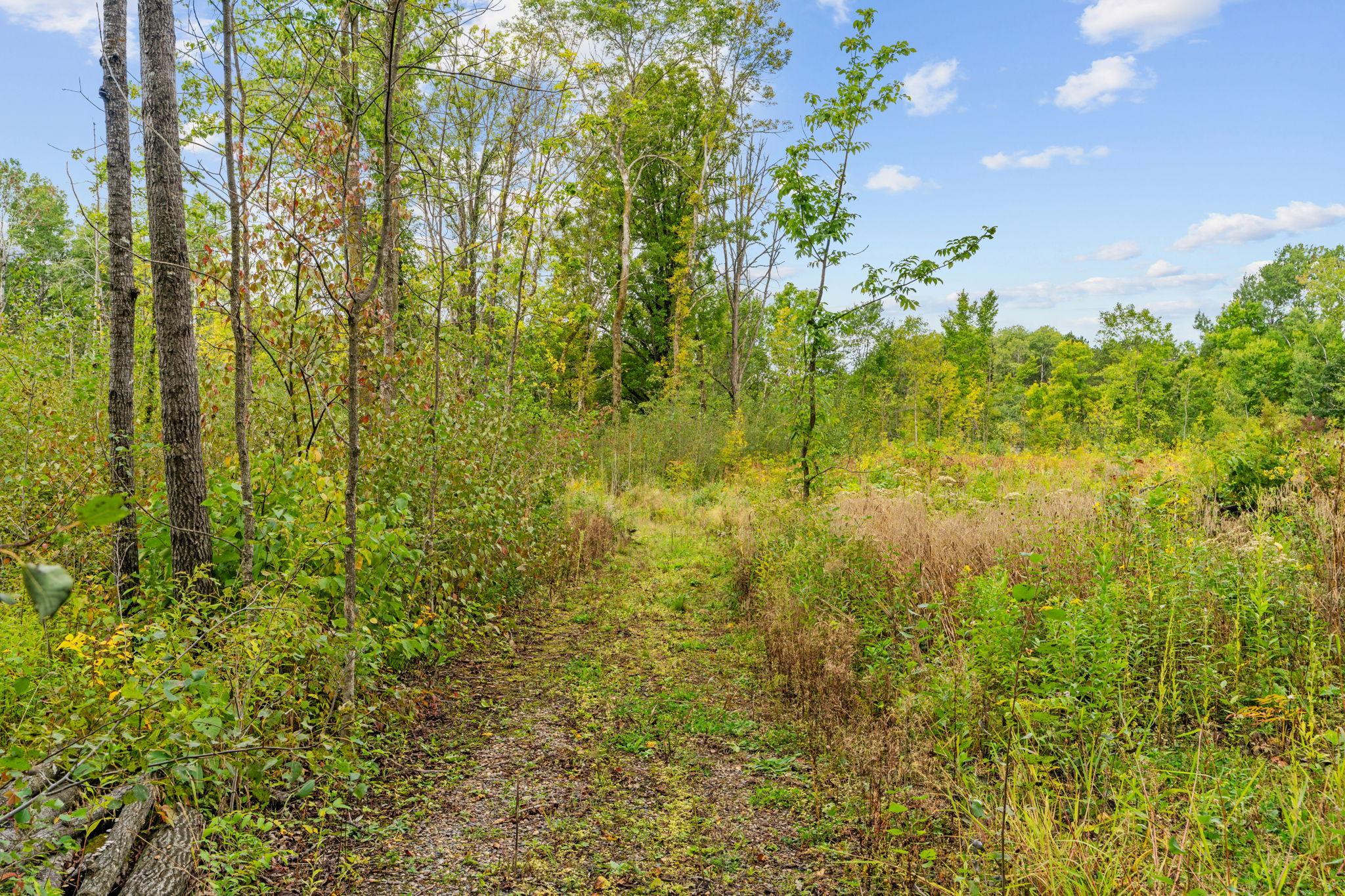 8-web-or-mls-18965 124th Ln-8.jpg