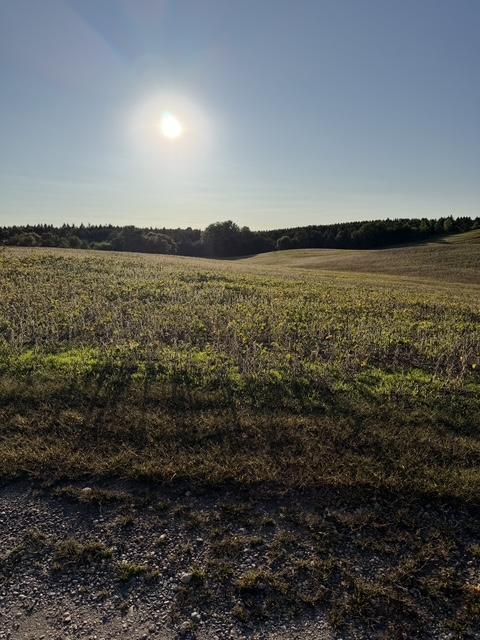 from Placid Dr West.jpeg