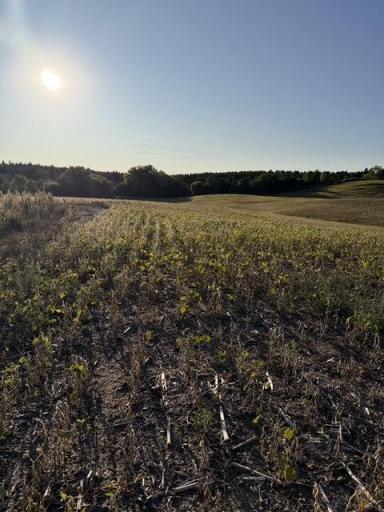 406XX Placid Drive, Dent, MN 56528