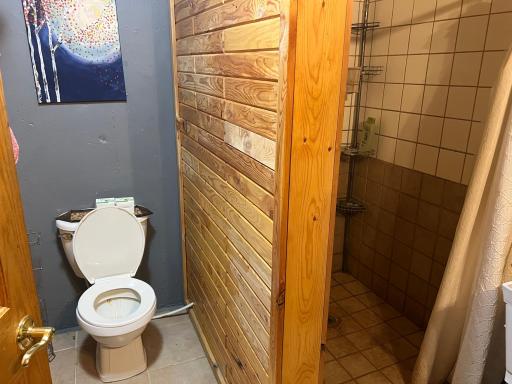 Basement bath.jpeg